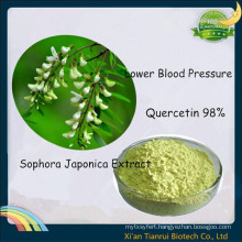 Sophora Flower Bud Extract, Sophora Japonica Extract Quercetin